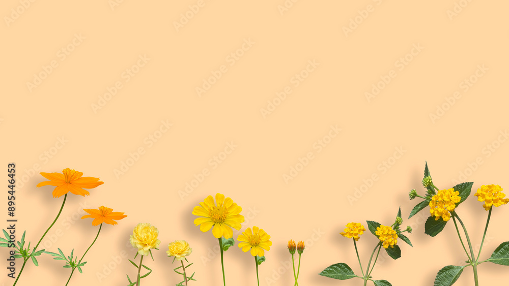 yellow flower on yellow background or wall, cute spring background concept yellow flower on yellow background or wall, cute spring background concept