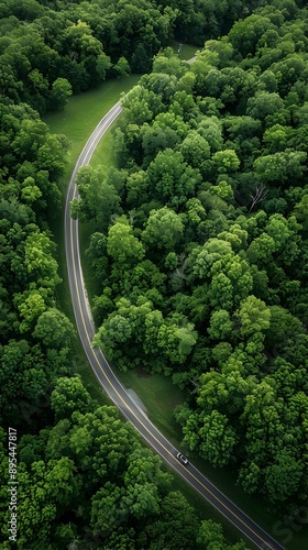 Lush Green Forest Road Aerial View with Winding Pathway © LookChin AI