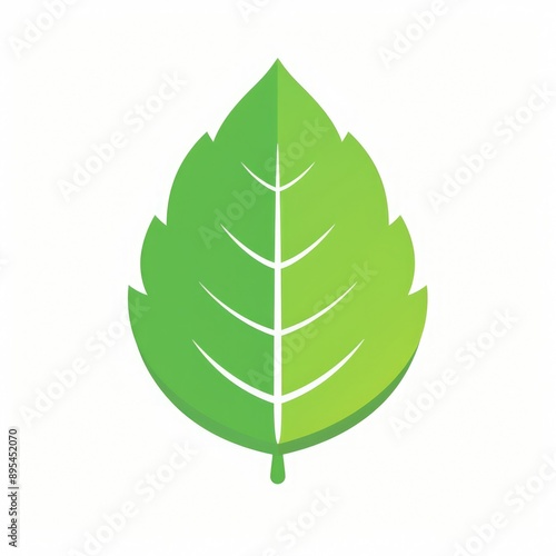 Leaf Icon Illustration for Website Design on White Background