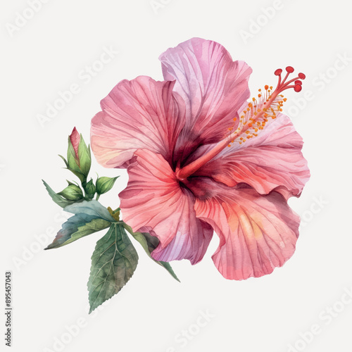 Elegant watercolor hibiscus flower