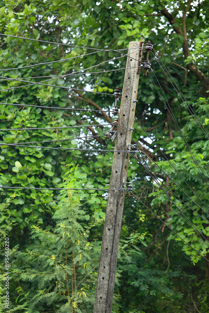 Fototapeta premium electricity post in the green forest, closeup of photo. 