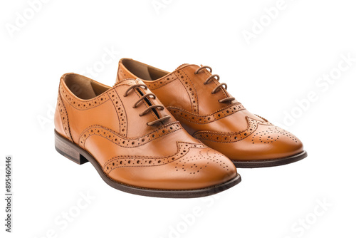 Wallpaper Mural Vintage Leather Brogues Shoes Isolated on Transparent Background Torontodigital.ca
