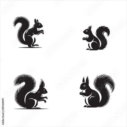 silhouette of  Squirrel on clean vector isolated on white background 