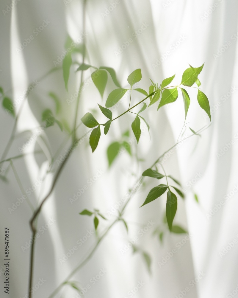 Abstract Botanical Image Featuring Blurry Sprig in White Fabric Bag with Symmetrical Composition, Long Exposure, Soft Tones, Daylight Abstract Botanical Image Featuring Blurry Sprig in White Fabric Bag with Symmetrical Composition, Long Exposure, Soft Tones, Daylight