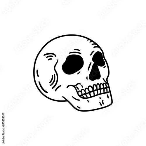 Vintage human scull. Hand drawn illustration in sketch style.