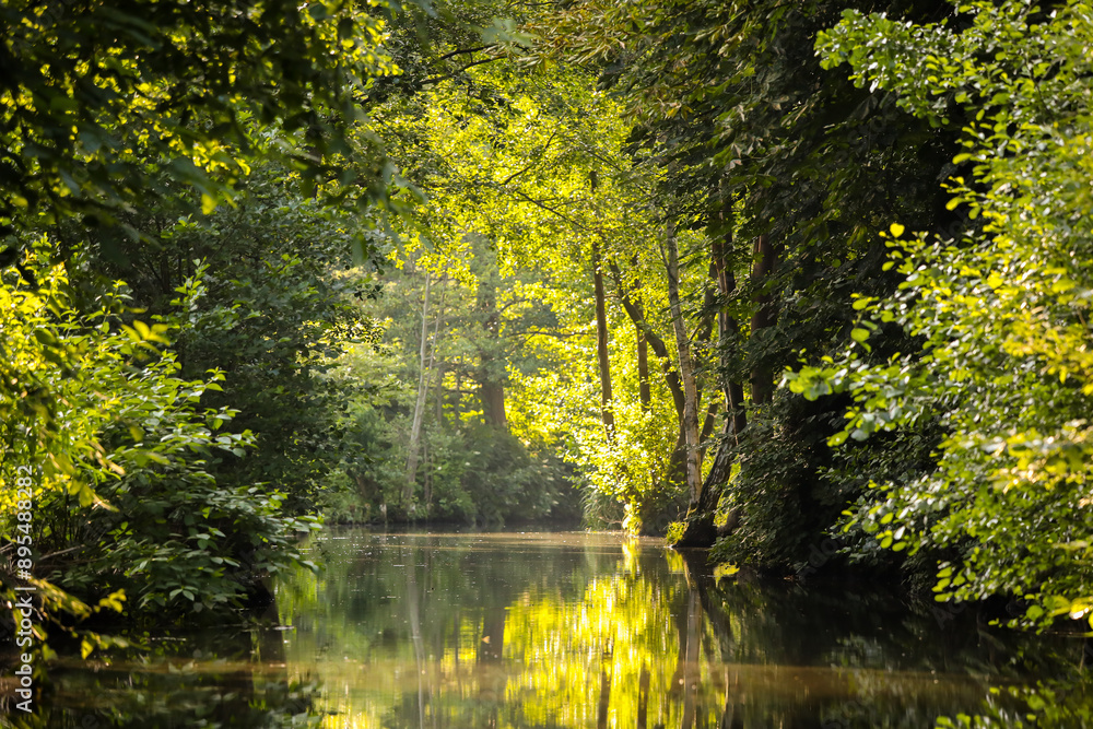 Obraz premium Spreewald, Kanutour