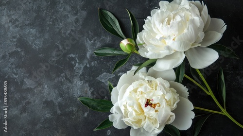 Elegant White Peonies on Dark Background © KRIS