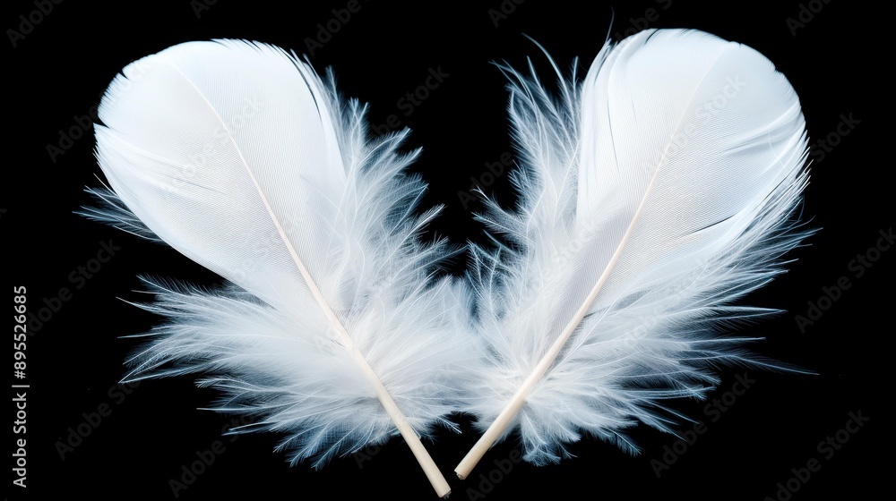 Obraz premium Magical angel feather wings for cosplay, fashion design, and dress up parties against a black background.