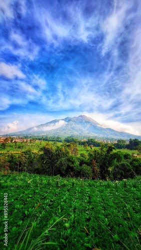mountains