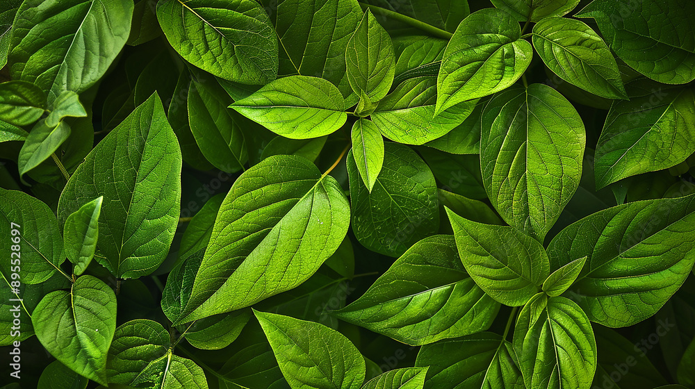 Intricate Leaf Macro Photography Intricate Leaf Macro Photography