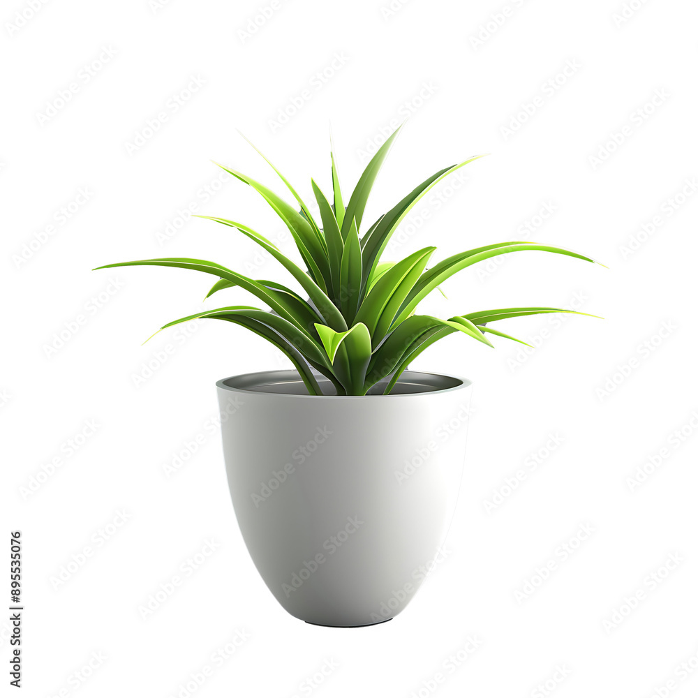 aloe vera plant in pot aloe vera plant in pot