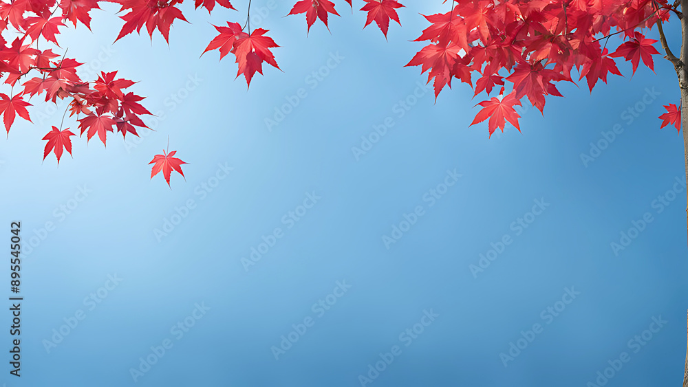 red maple tree have a expansive branches, and a lush canopy of leaves, The isolated background
red maple tree have a expansive branches, and a lush canopy of leaves, The isolated background