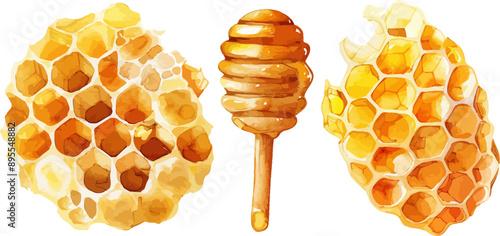 Honey Combs Watercolor Vector Illustration.