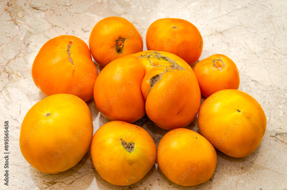 Ripe yellow tomato on the table, farm harvest Ripe yellow tomato on the table, farm harvest