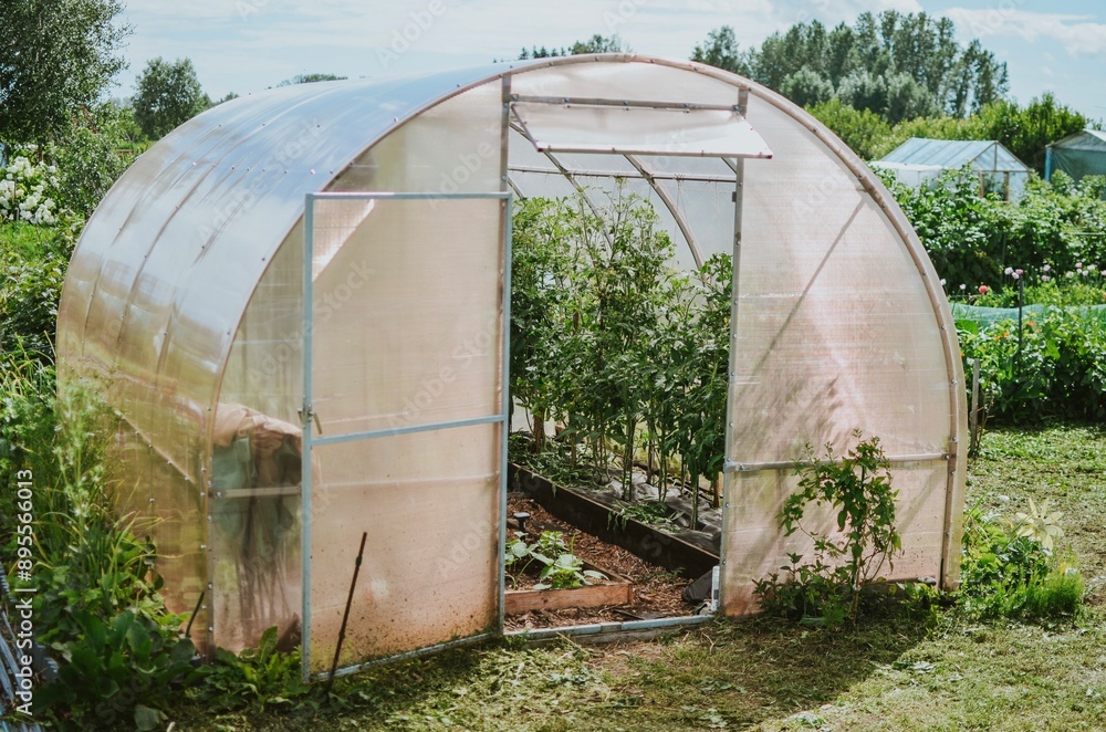 outdoor greenhouse for growing vegetables in summer outdoor greenhouse for growing vegetables in summer