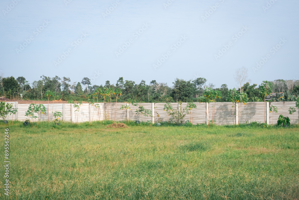The empty yard is filled with green grass and there is a dividing wall The empty yard is filled with green grass and there is a dividing wall