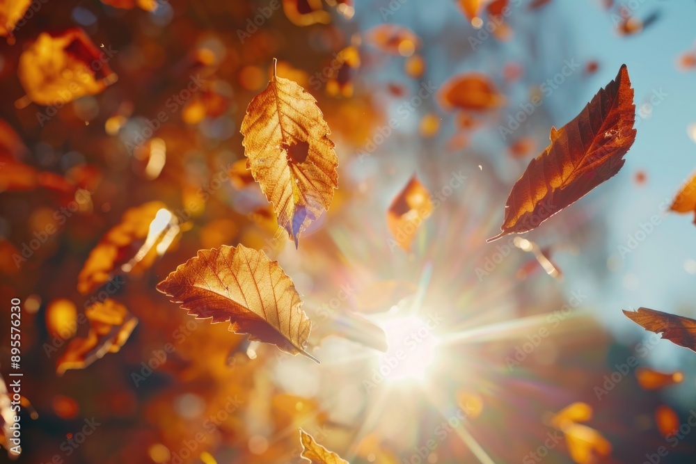 Flying Leaves in Air Flying Leaves in Air