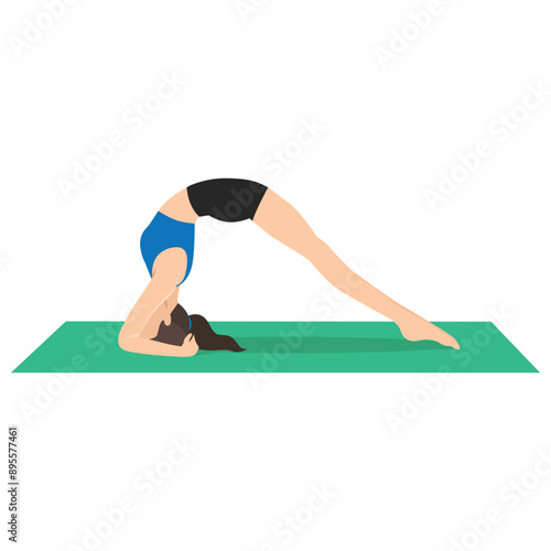 Woman doing Two legged Inverted Staff Pose or Dvi Pada Viparita Dandasana yoga exercise. Flat vector illustration isolated on white background