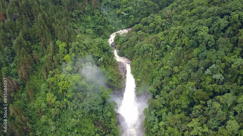 Breathtaking aerial shot of a waterfall cascading through a dense, vibrant green forest in Colombia, showcasing nature's beauty. Breathtaking aerial shot of a waterfall cascading through a dense, vibrant green forest in Colombia, showcasing nature's beauty.