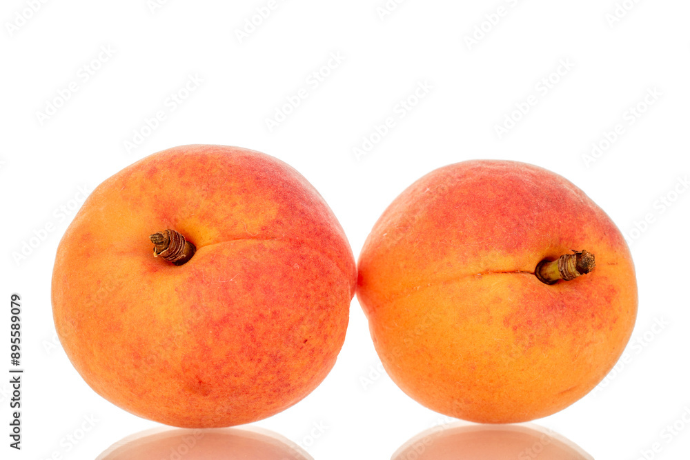 Two ripe apricots, macro, isolated on white background. Two ripe apricots, macro, isolated on white background.