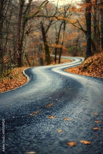 Winding Road Through Forest