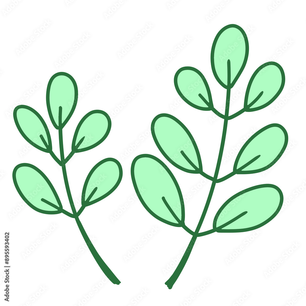 Fototapeta premium Green leaves illustration