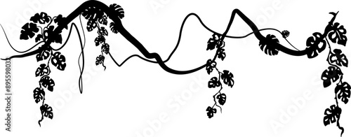 Liana with monstera leaves. Vector decoration element. Divider silhouette.