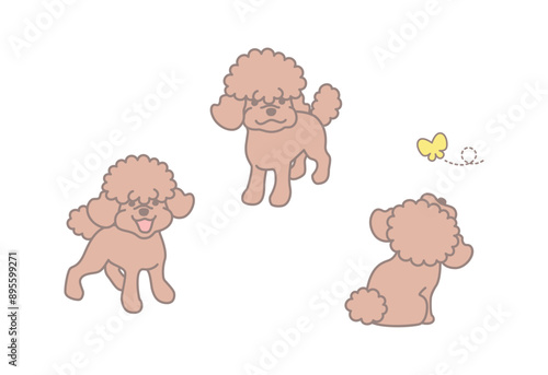 トイプードルのかわいいイラスト素材セット