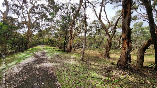 Nixon-Skinner Conservation Park in South Australia photo