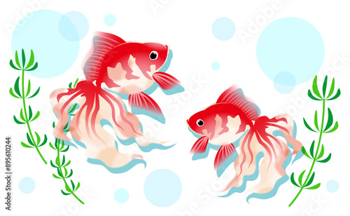 金魚