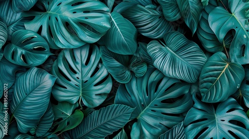 Wallpaper Mural   A close-up of green leaves on a bed of green foliage in the background Torontodigital.ca