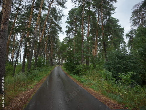 Описание:
Scenic forest road during summer, surrounded by lush green pine trees, serene and peaceful atmosphere, wet asphalt reflecting light, ideal for nature, travel, and environmental concepts