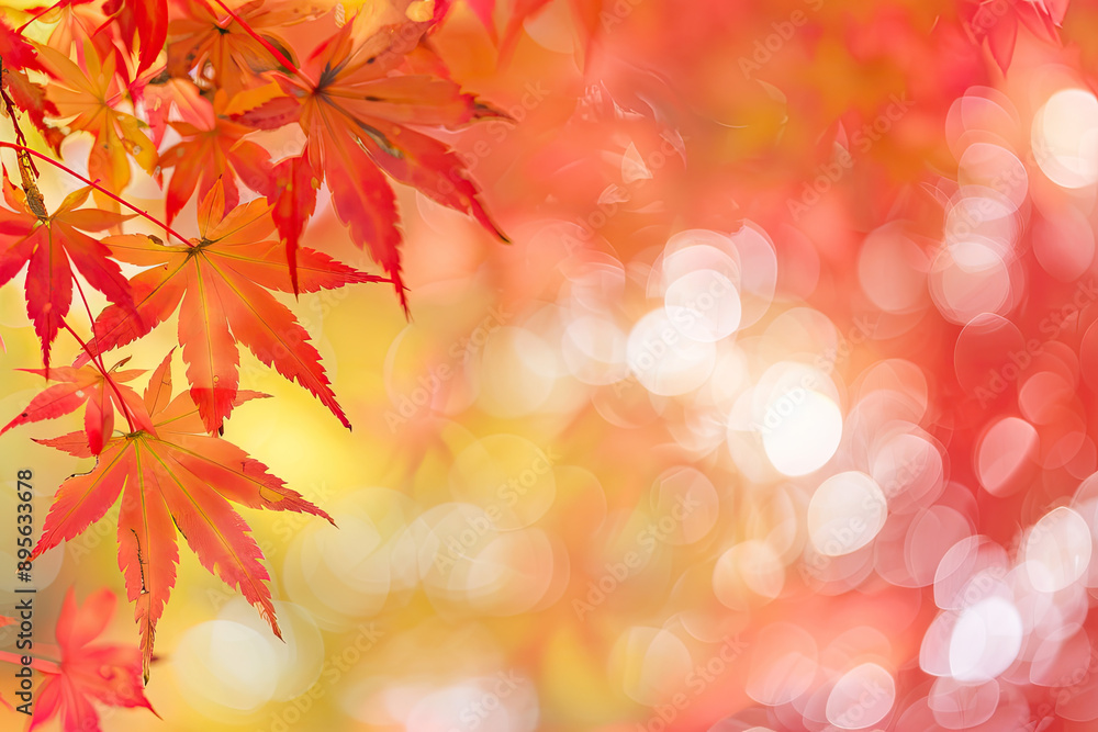 autumn leaves background autumn theme, soft focus light, bokeh effect autumn leaves background autumn theme, soft focus light, bokeh effect