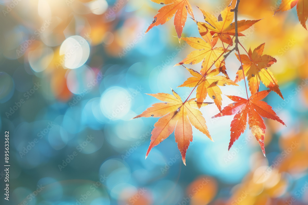 autumn leaves background autumn theme, soft focus light, bokeh effect autumn leaves background autumn theme, soft focus light, bokeh effect