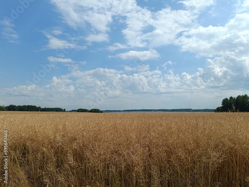 Field in somewhere. Countryside. Open field. Summertime. Unusual.