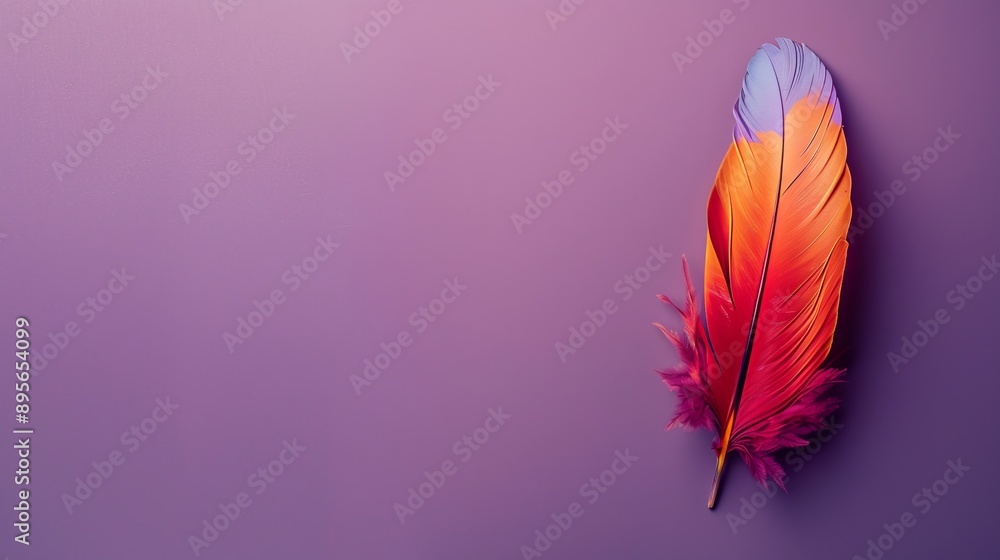feather peeking out from a solid purple background feather peeking out from a solid purple background