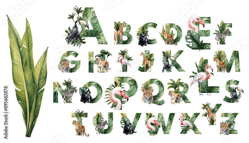 Fototapeta Naklejka Na Ścianę i Meble -  Watercolor illustration featuring the alphabet with tropical leaves and jungle animals.
