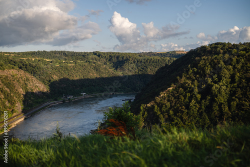 Landschaftspark Loreley, Juli 2024