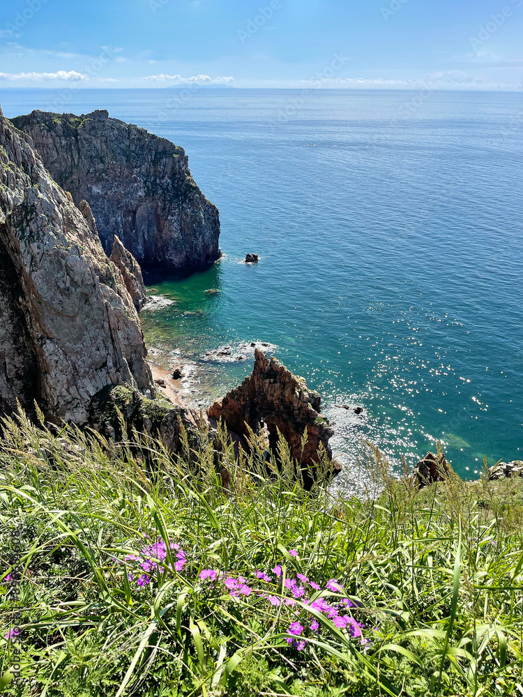 The beautiful Southeastern coast of the island of Shkota in August in sunny weather. Russia, Vladivostok city