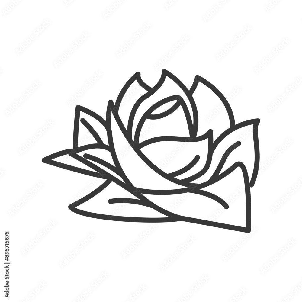 Rose flower icon line design illustration Rose flower icon line design illustration