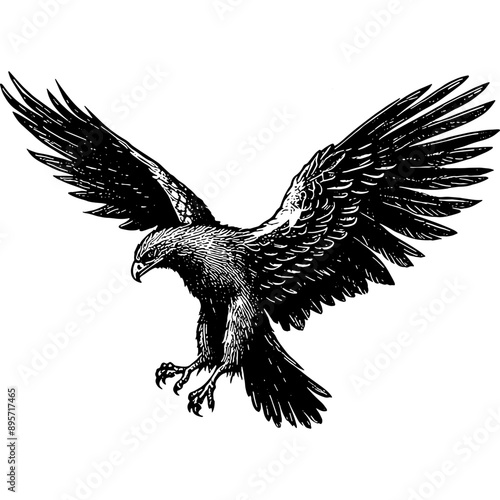 Flying Eagle 