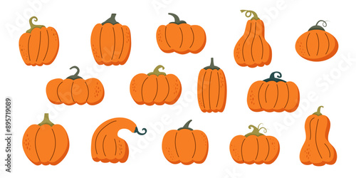 Happy harvest. Set of pumpkins. Autumn pumpkins in flat style isolated on white. Autumn, harvest, Thanksgiving and Halloween concept.