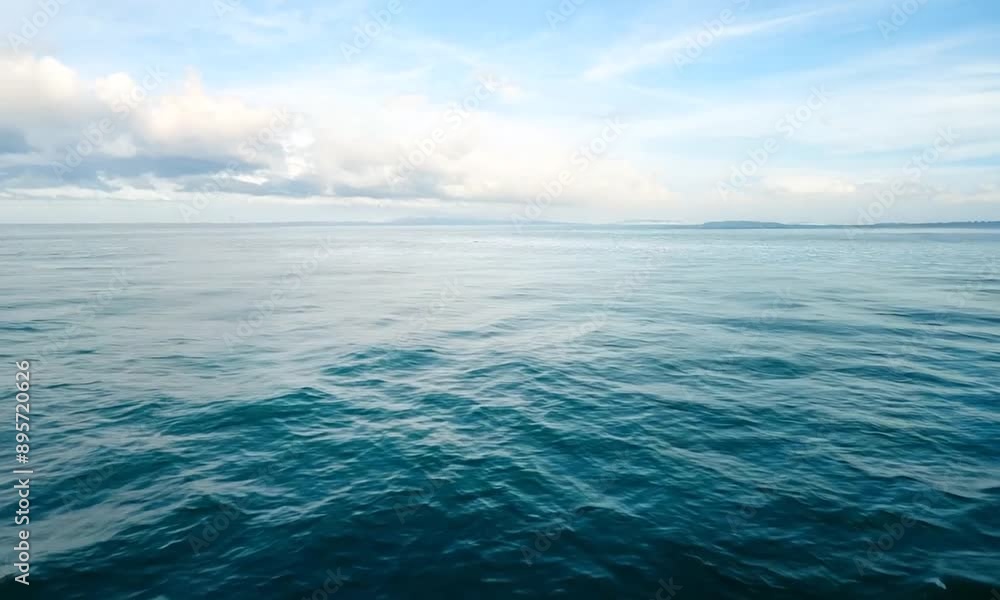 water in the sea water in the sea