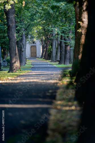 Photography Ondrejsky cemetery in Bratislava (National Cultural Monument)
