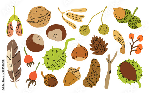 Autumn finds, seeds: rowan, maple, oak. October forest nature: fir cone, feather, acorn, berries. Flat isolated vector illustration on white background