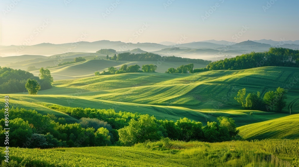 Obraz premium Wide rural landscape with lush green fields and forested hills under a clear morning sky