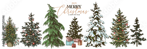 Set of hand drawn Christmas trees
