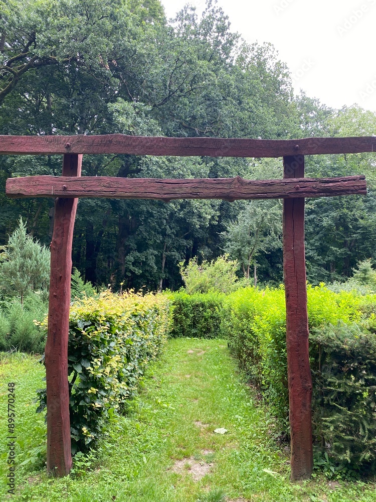 Fototapeta premium wooden door in the park