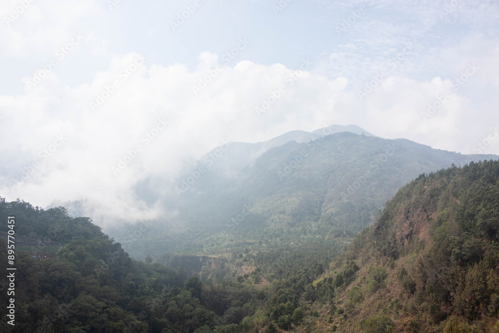 Serene Landscape of a Hill Overlooked by Enveloping Fog Serene Landscape of a Hill Overlooked by Enveloping Fog