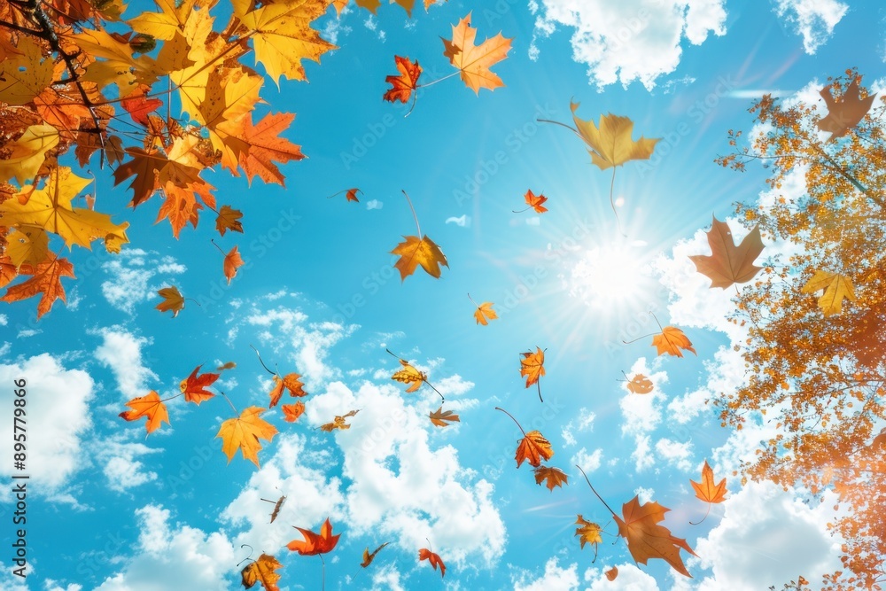 Autumn leaves are flying against the sky Autumn leaves are flying against the sky